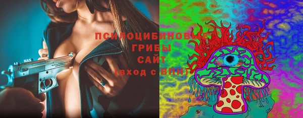 ГАЛЛЮЦИНОГЕННЫЕ ГРИБЫ Осташков