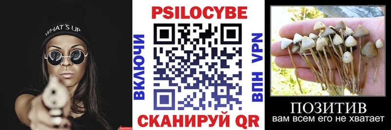 Галлюциногенные грибы GOLDEN TEACHER  Славгород 